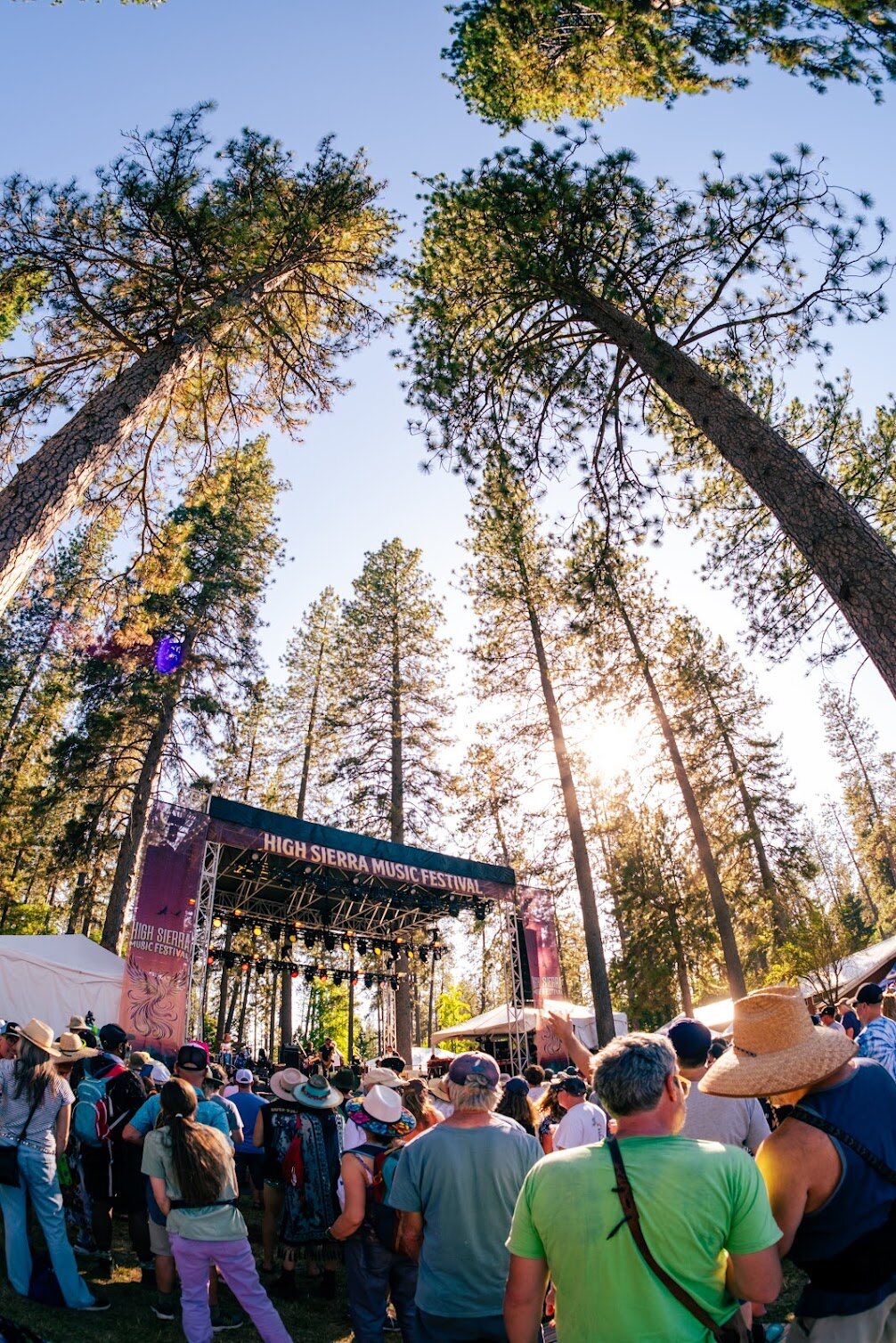 A festival crowd gathered beneath towering pine trees at High Sierra Music Festival